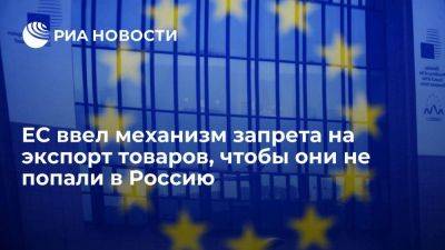 ЕС ввел механизм запрета на продажу товаров другим странам, чтобы они не попали в Россию - smartmoney.one - Россия