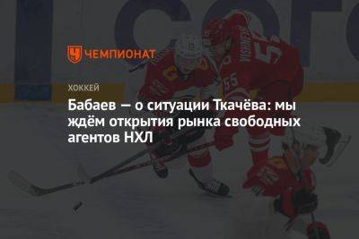 Владимир Ткачев - Павел Панышев - Бабаев — о ситуации Ткачёва: мы ждём открытия рынка свободных агентов НХЛ - championat.com - Лос-Анджелес - Омск