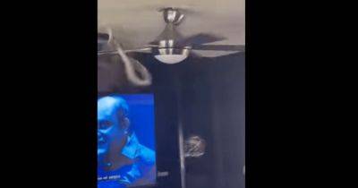Змея, спасаясь от вентилятора на потолке, набросилась на мужчину (видео) - focus.ua - Украина - Австралия - Нападение