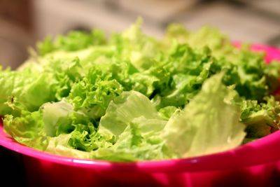 Зеленый салат в холодильнике – как правильно хранить – советы хозяйкам - apostrophe.ua - Украина