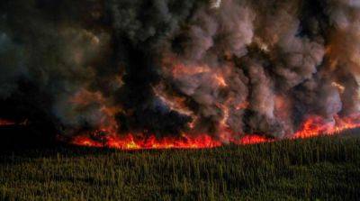 В Канаде не хватает спасателей для тушения масштабных лесных пожаров - ru.slovoidilo.ua - Украина - Колумбия - Канада - Reuters