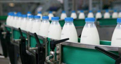 Александр Лукашенко - ГОЛОВЧЕНКО: в Беларуси есть определенные проблемы со сбытом «молочки» - produkt.by - Россия - Белоруссия - Зимбабве