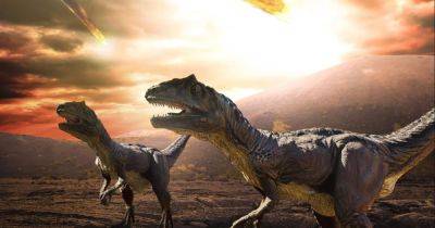 Необъяснимые аномалии. Останки динозавра возрастом 121 млн лет меняет представление об эволюции птиц - focus.ua - Украина - Монголия - Находка