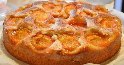 Летнее меню: рецепт вкусного пирога с абрикосами - focus.ua - Украина