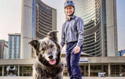 В Торонто на должность мэра баллотируется собака - planetanovosti.com