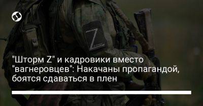 "Шторм Z" и кадровики вместо "вагнеровцев": Накачаны пропагандой, боятся сдаваться в плен - liga.net - Россия - Украина - Донецкая обл.