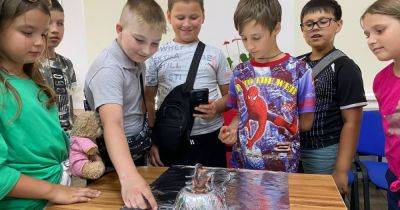 Обучение как шоу: в Гончаренко центре в Подольске поощряют детей учить иностранный язык - dsnews.ua - Украина - Подольск