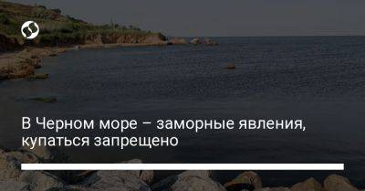 Олег Кипер - В Черном море – заморные явления, купаться запрещено - liga.net - Россия - Украина