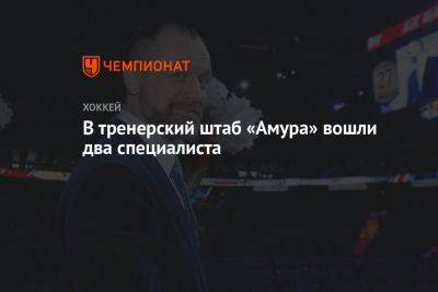 Андрей Мартемьянов - В тренерский штаб «Амура» вошли два специалиста - championat.com