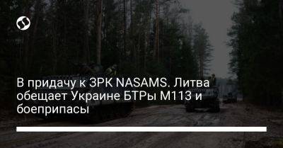 Гитанас Науседа - Арвидас Анушаускас - В придачу к ЗРК NASAMS. Литва обещает Украине БТРы М113 и боеприпасы - liga.net - Украина - Литва