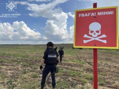 Владимир Зеленский - В Херсонской области на мине подорвался комбайн, два человека пострадали – ОВА - gordonua.com - Россия - Украина - Харьковская обл. - Херсонская обл. - Херсонская Область - Мина