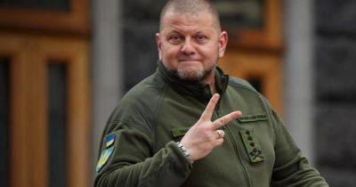 Марк Милли - Валерий Залужный - Украинские защитники перехватили инициативу на фронте, — Залужный - dsnews.ua - США - Украина