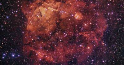 Наглая физиономия размером в 150 световых лет: найдена туманность в форме кошачьей морды (фото) - focus.ua - Украина - Чили