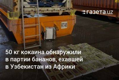 Узбекистан - 50 кг кокаина обнаружили в партии бананов, ехавшей в Узбекистан из Африки - gazeta.uz - Россия - США - Узбекистан