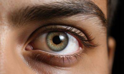 Ученые назвали самый редкий цвет глаз: его имеют 2% населения - planetanovosti.com - США