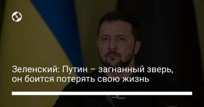 Владимир Зеленский - Владимир Путин - Зеленский: Путин – загнанный зверь, он боится потерять свою жизнь - liga.net - Россия - Украина