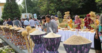 В Душанбе прошел фестиваль абрикоса и выставка “Сухофрукты Таджикистана” - dialog.tj - Душанбе - Таджикистан