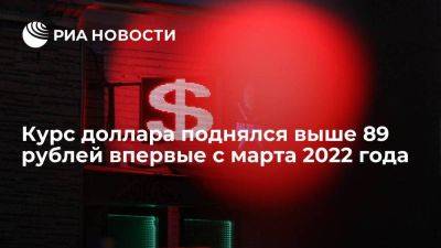 Курс доллара на Мосбирже поднялся до 89,19 рубля впервые с марта 2022 года - smartmoney.one - Россия