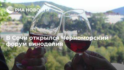 В Сочи открылся юбилейный Х Черноморский форум виноделия - smartmoney.one - Россия - Сочи