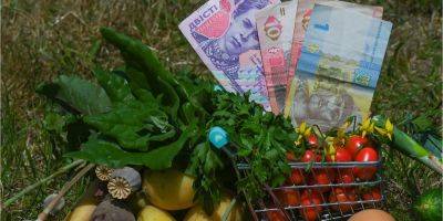 Цены в июне. Черешня и овощи будут дорогими, цена на яйца пойдет вниз - biz.nv.ua - Украина