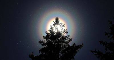 Микки Маус - В небе над Финляндией появились радужные кольца вокруг Солнца: что вызвало их появление (фото) - focus.ua - Украина - Финляндия