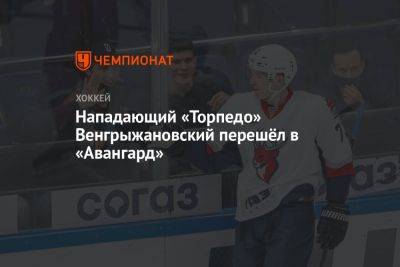 Нападающий «Торпедо» Венгрыжановский перешёл в «Авангард» - championat.com