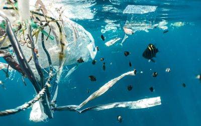 Антониу Гутерриш - В ООН заявляют о критическом загрязнении пластиком - korrespondent.net - Украина - Экология