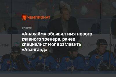 «Анахайм» объявил имя нового главного тренера, ранее специалист мог возглавить «Авангард» - championat.com - Нью-Йорк - шт. Колорадо