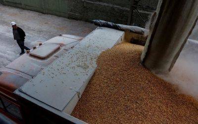 ЕС продлил ограничение экспорта зерна из Украины - korrespondent.net - Украина - Румыния - Венгрия - Польша - Болгария - Словакия - Ес - Продовольствие