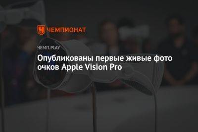 Тим Кук - Опубликованы первые живые фото очков Apple Vision Pro - championat.com