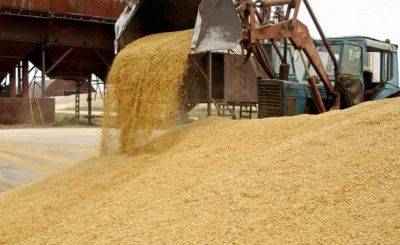 Дипломаты: ЕС продлевает запрет на импорт зерна из Украины - obzor.lt - Россия - Украина - Германия - Польша - Брюссель - Ес