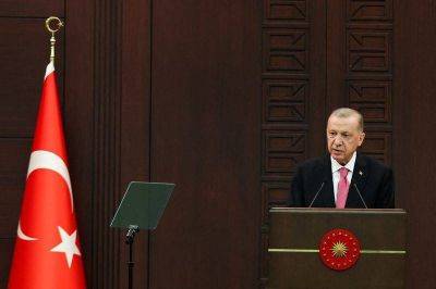 Тайип Эрдоган - Тимур Алиев - Эрдоган пообещал поменять конституцию - smartmoney.one - Турция - Reuters