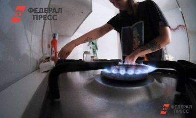 Полина Зиновьева - Курганским властям понадобился миллиард для строительства газоперерабатывающего завода - smartmoney.one