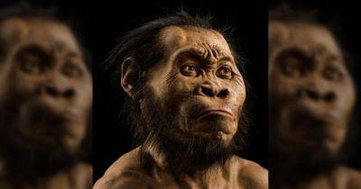 Не только неандертальцы: малоисследованные предки человека Homo naledi тоже хоронили умерших - focus.ua - Украина - Юар - Находка