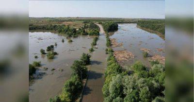 Александр Прокудин - Вода прибывает: в Херсонской ОВА рассказали о ситуации из-за подрыва Каховской ГЭС - fakty.ua - Украина - Херсон - Херсонская обл.
