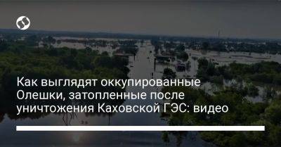 Как выглядят оккупированные Олешки, затопленные после уничтожения Каховской ГЭС: видео - liga.net - Украина - Херсон - Херсонская обл.
