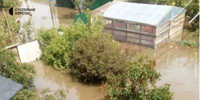 Владимир Зеленский - Вода продолжает прибывать. Во временно оккупированной Голой Пристани люди ночевали на крышах домов из-за отсутствия эвакуации - nv.ua - Россия - Украина - Херсон - Херсонская обл. - Херсонская Область