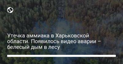 Олег Синегубов - Утечка аммиака в Харьковской области. Появилось видео аварии – белесый дым в лесу - liga.net - Россия - Украина - Харьковская обл. - Херсон - район Купянский