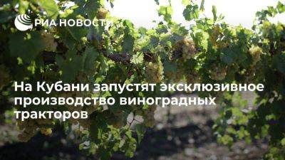 Вениамин Кондратьев - Роман Головченко - Премьер Белоруссии Головченко: на Кубани будут выпускать уникальные виноградные тракторы - smartmoney.one - Россия - Сочи - Краснодарский край - Белоруссия - Минск - Кубань