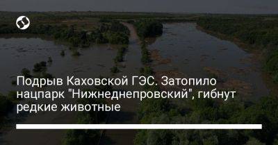 Руслан Стрелец - Подрыв Каховской ГЭС. Затопило нацпарк "Нижнеднепровский", гибнут редкие животные - liga.net - Украина - Херсонская обл.