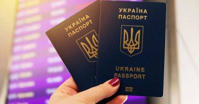 В Украине стало проще получить паспорт, — Минреинтеграции - dsnews.ua - Украина
