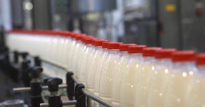 Бензин из молока: в США разработали инновационное биотопливо - focus.ua - Украина - USA - шт. Мичиган