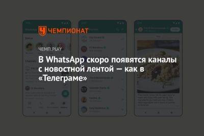 Павел Дуров - В WhatsApp скоро появятся каналы с новостной лентой — как в «Телеграме» - championat.com - Россия - Колумбия - Сингапур