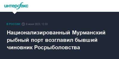 Национализированный Мурманский рыбный порт возглавил бывший чиновник Росрыболовства - smartmoney.one - Москва - Россия - Венгрия - Мурманск - Приморье край - Мурманская обл. - Владивосток - Сингапур