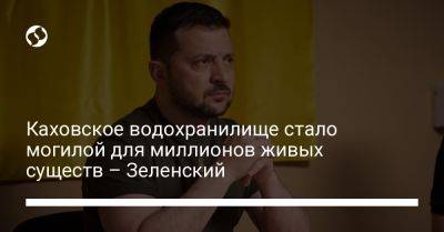 Владимир Зеленский - Каховское водохранилище стало могилой для миллионов живых существ – Зеленский - liga.net - Россия - Украина