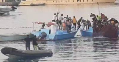 Владимир Попов - В Египте поймали акулу, которая съела россиянина: туристы устроили с ней фотосессию (видео) - focus.ua - Россия - Украина - Египет