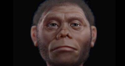 Джон Толкин - Питер Джексон - Вот ты какой, Фродо. Создана реконструкция лица "настоящего хоббита": он жил 60 тысяч лет назад (фото) - focus.ua - Украина - Англия - Бразилия - Индонезия - Реконструкция