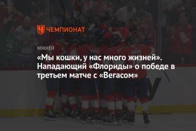 «Мы кошки, у нас много жизней». Нападающий «Флориды» о победе в третьем матче с «Вегасом» - championat.com - шт.Флорида