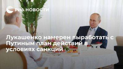 Владимир Путин - Александр Лукашенко - Лукашенко надеется на присоединение других стран к плану действий в условиях санкций - smartmoney.one - Россия - Сочи - Белоруссия