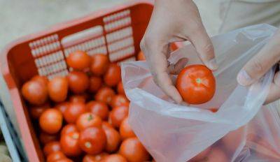 С 1 июля в Литве вводят плату за прозрачные пластиковые пакеты в супермаркетах - rus.delfi.lv - Литва - Латвия